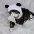 Panda Bear Hat Cat Costume Hot on Sale