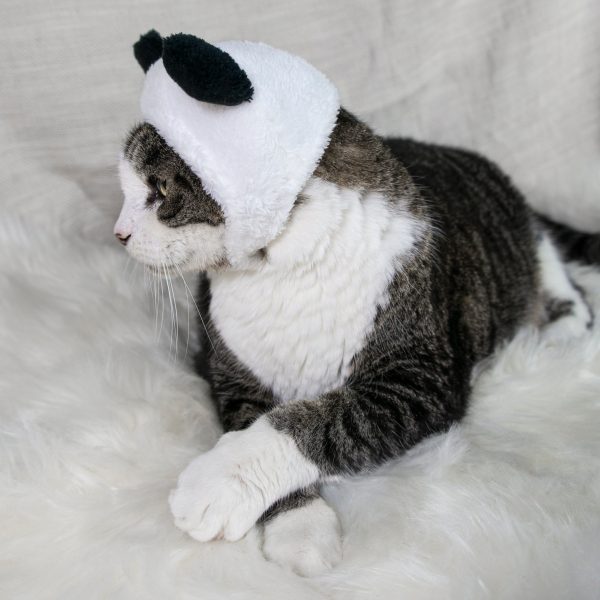 Panda Bear Hat Cat Costume Hot on Sale