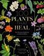 100 Plants That Heal: The Illustrated Herbarium of Medicinal Plants Cheap