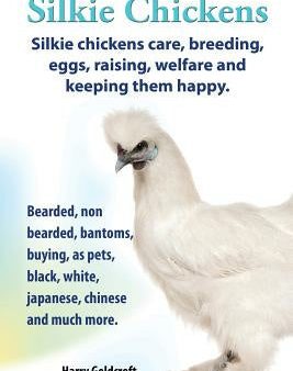 . Silkie Chickens. Silkie Chickens Care, Breeding, Eggs, Raising, Welfare and Keeping Them Happy, Bearded, Non Bearded, Bantoms, Buying, as Pets, Blac on Sale